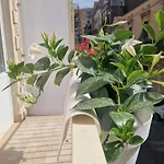 Ferrara 2 招待所 3*