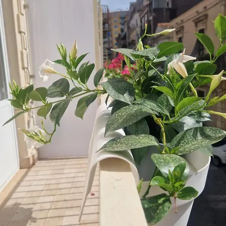 Ferrara 2 בית הארחה 3*